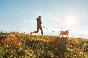 Techniques Used By Your Favorite Singers For Improving The Health of Your Dog